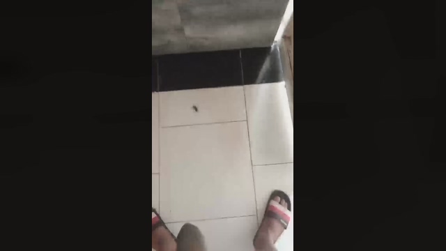 Master_piss  04-03-2022